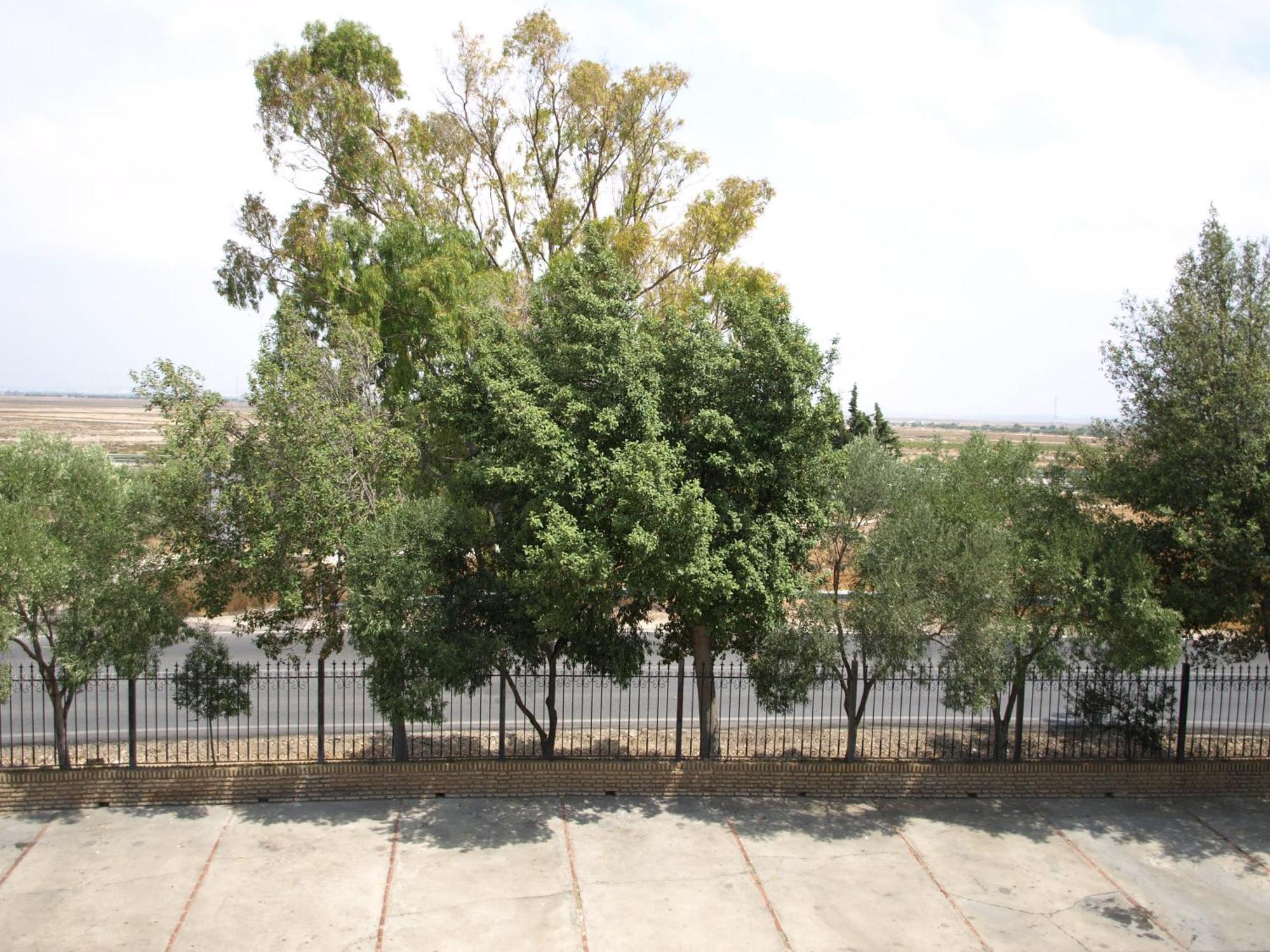 Hotel Caballo Negro 2*
